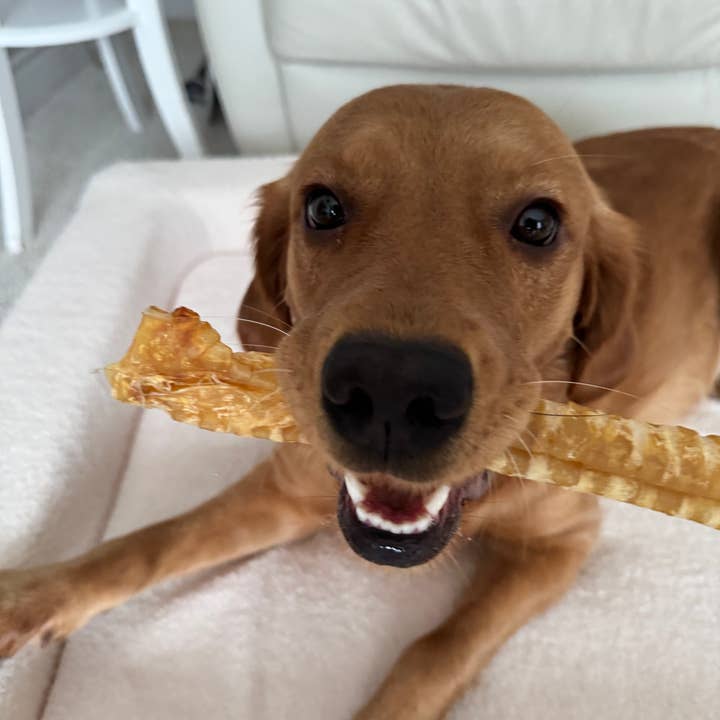 Purely Paws - Wholesale Pet Treats - Dog - Natural Beef Trachea Chew for Dogs3