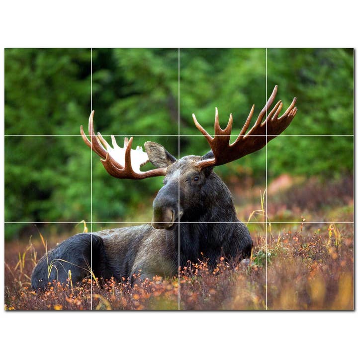 Hjortekeramiske fliser Keramiske fliser Vægmaleri PT500463 for engroshandel hos Picture-Tiles.com