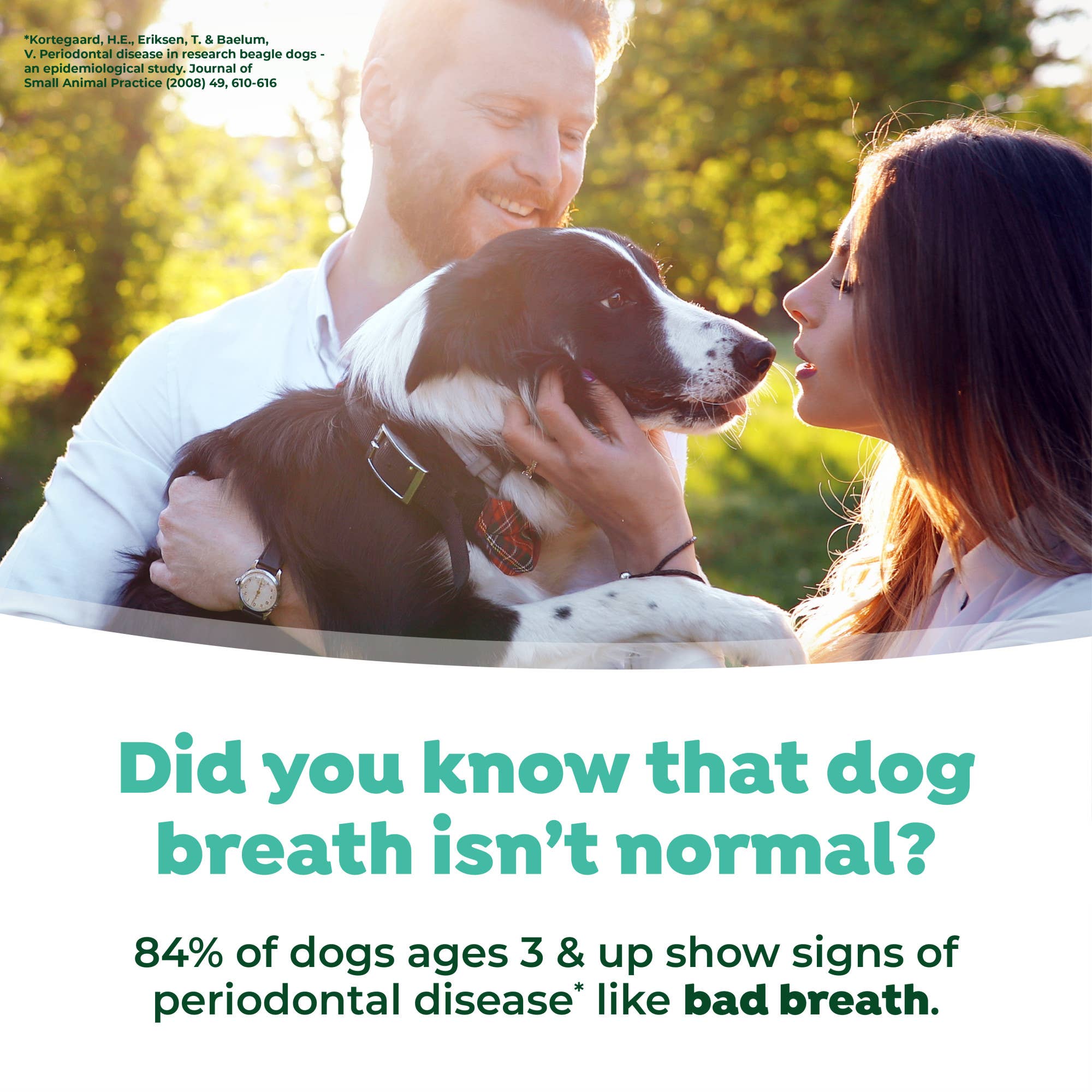 Pet Palette Distribution - Wholesale Pet Toothpaste - Dog - TropiClean Fresh Breath Mint Foam for Pets, 4.5oz7