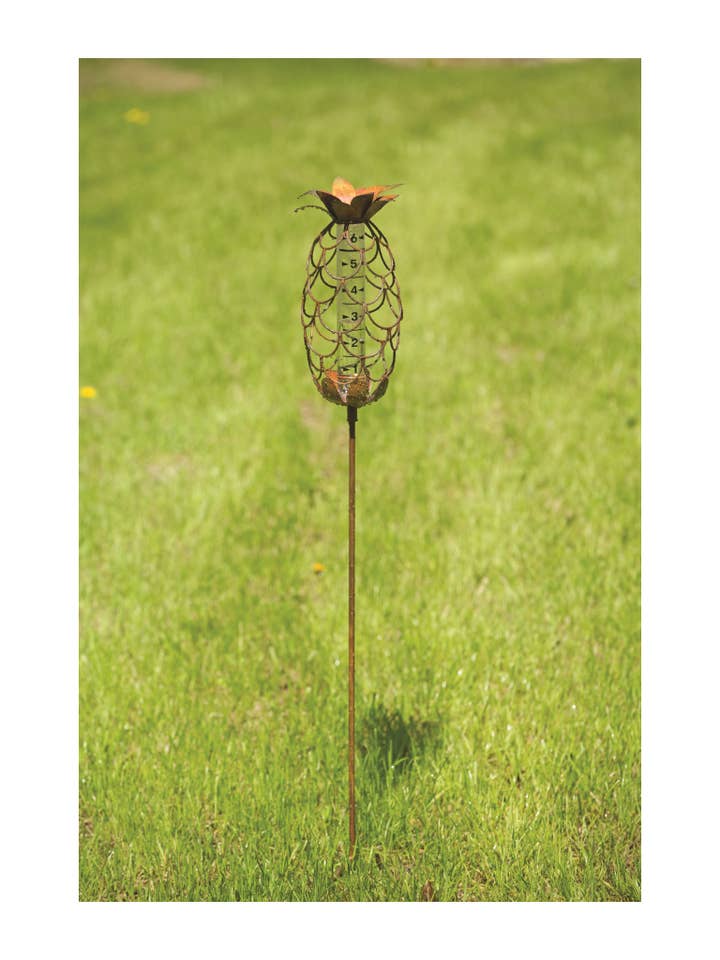 Regenmeter - Ananas voor wholesale door Bear Den