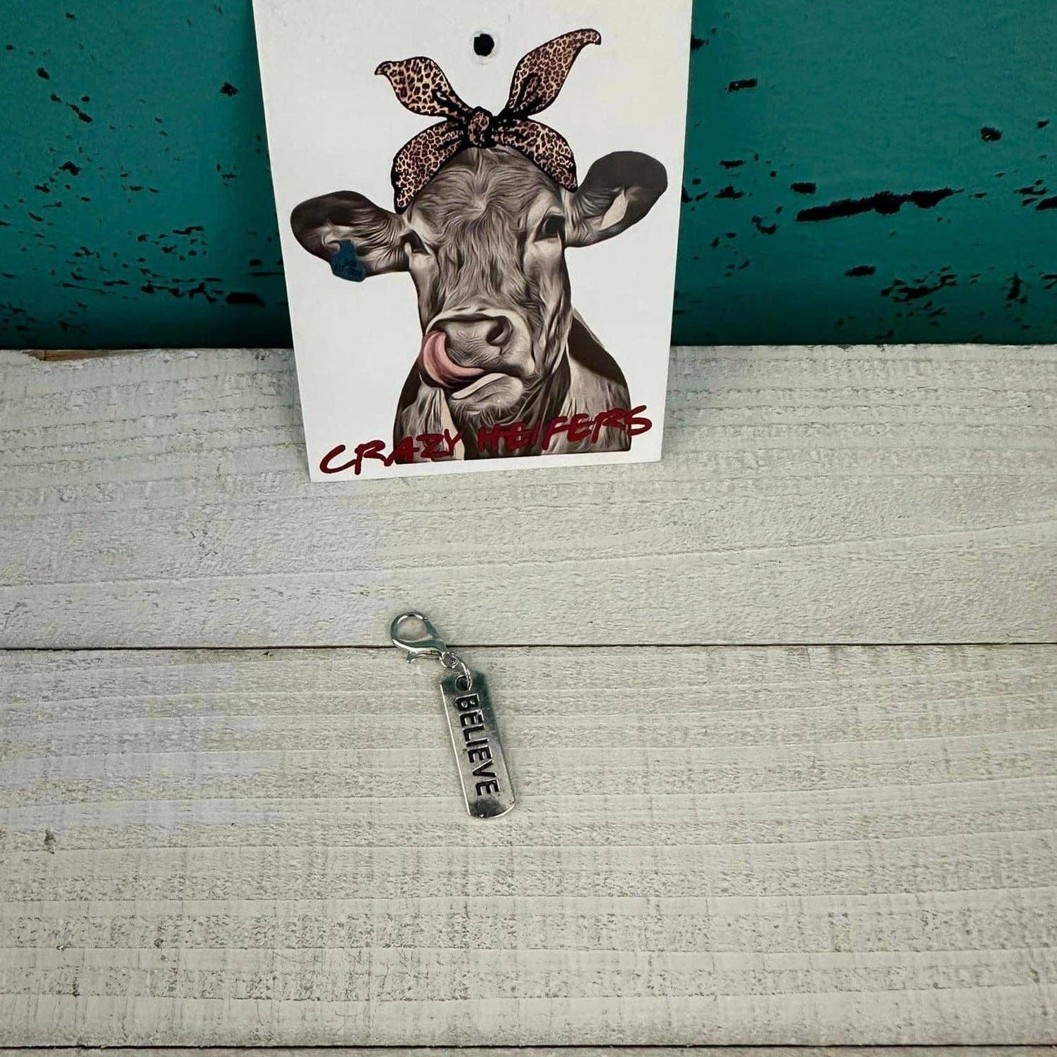 Crazy Heifers Wholesale - Wholesale Individual Charm/Pendant - Clip-on Charms Silver Tone0