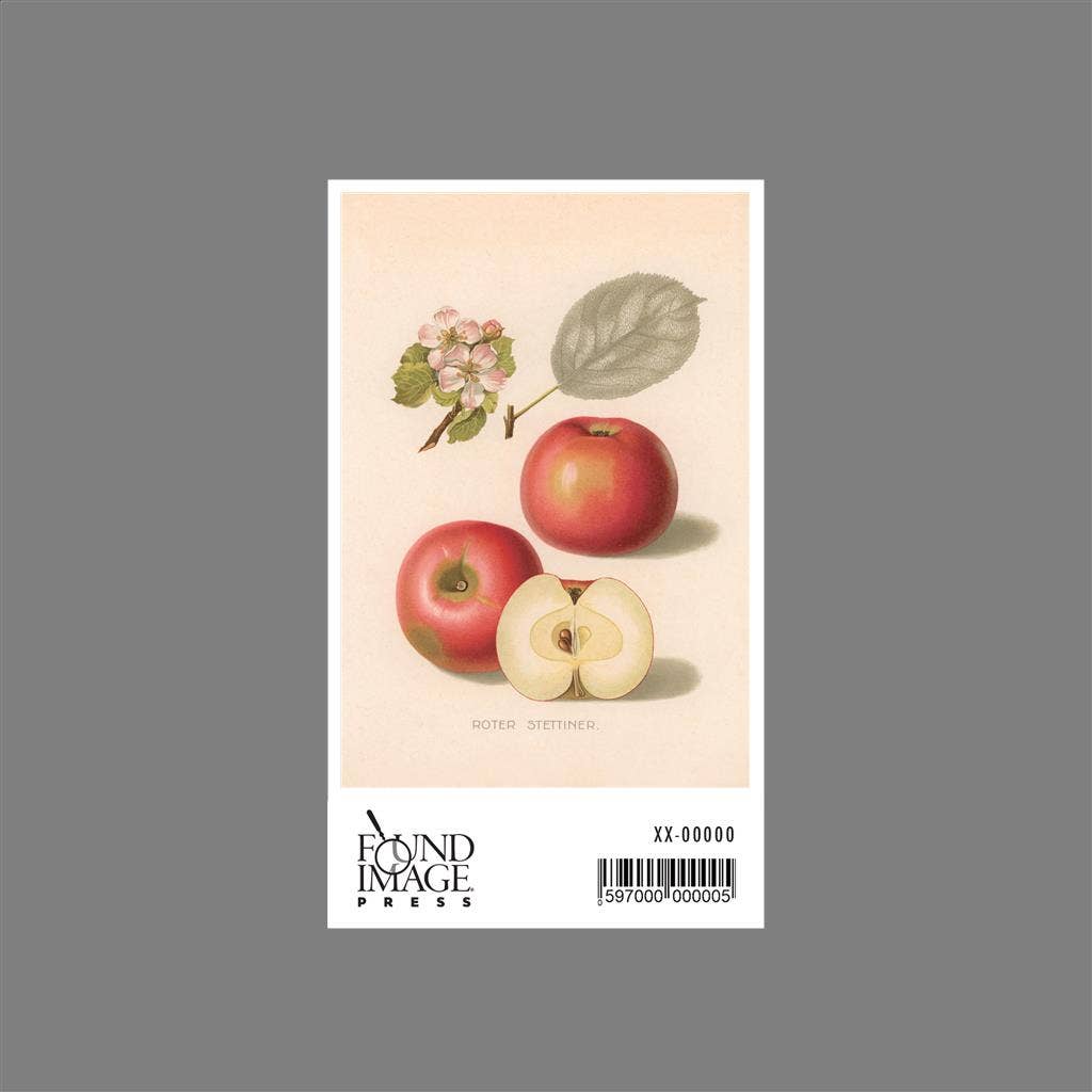 Found Image Press - Wholesale Sticker - Sticker FR-172 Roter Stettiner Apples1