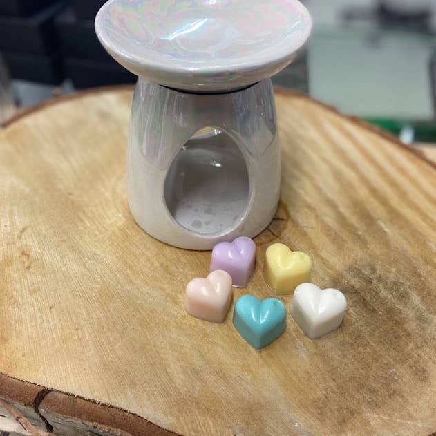 Home Fragrance Wholesale - Vendita all'ingrosso Cialde di cera - Fata del ghiaccio
