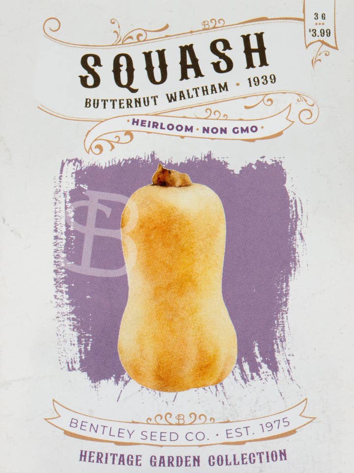 Squash-Butternut Waltham 1939 for wholesale by Bentley Seed Co.