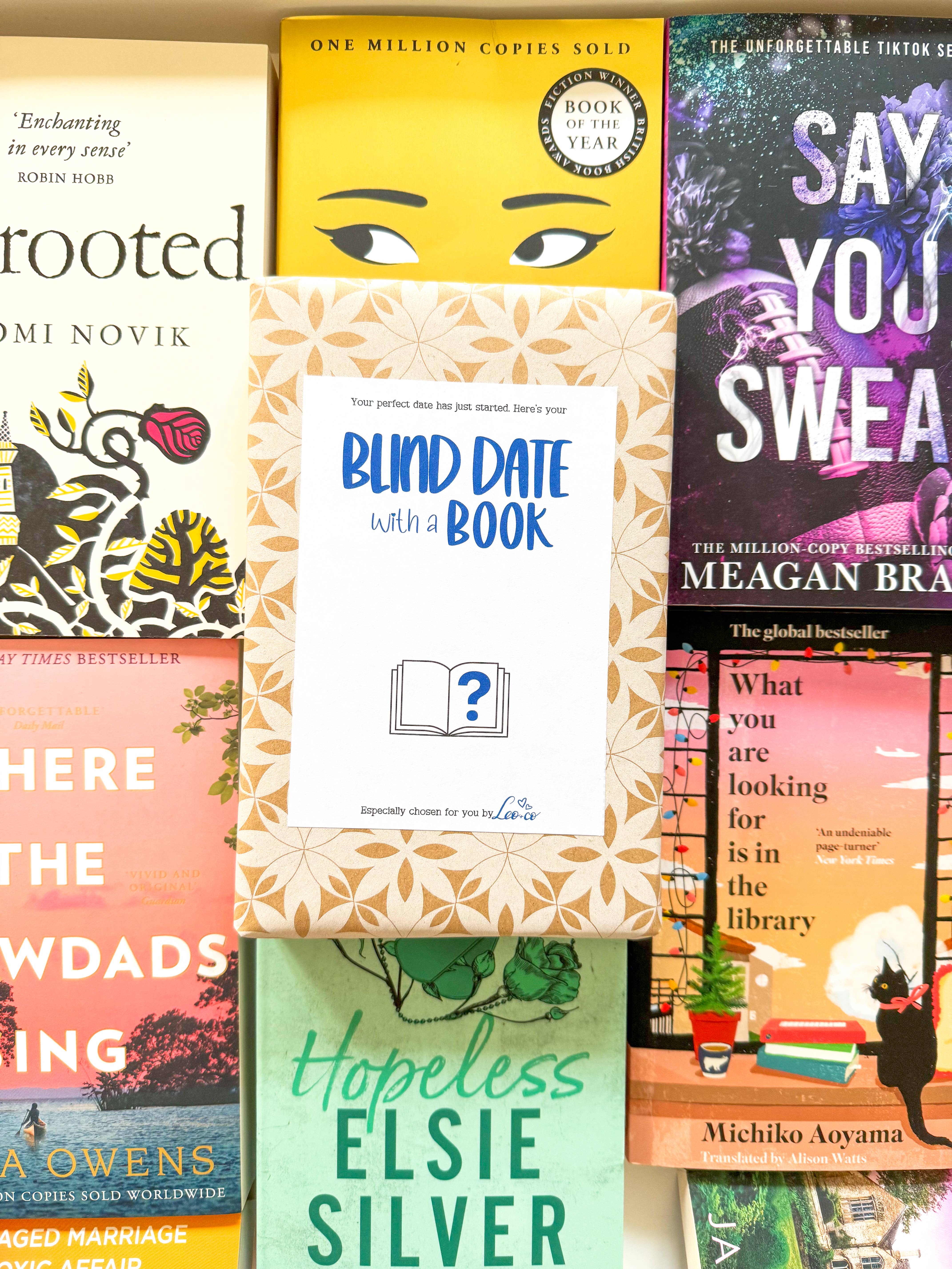 Leo & Co Gifts – wholesale Contemporary and literary fiction – Blind Date With A Book - BRAND NEW BOOK3