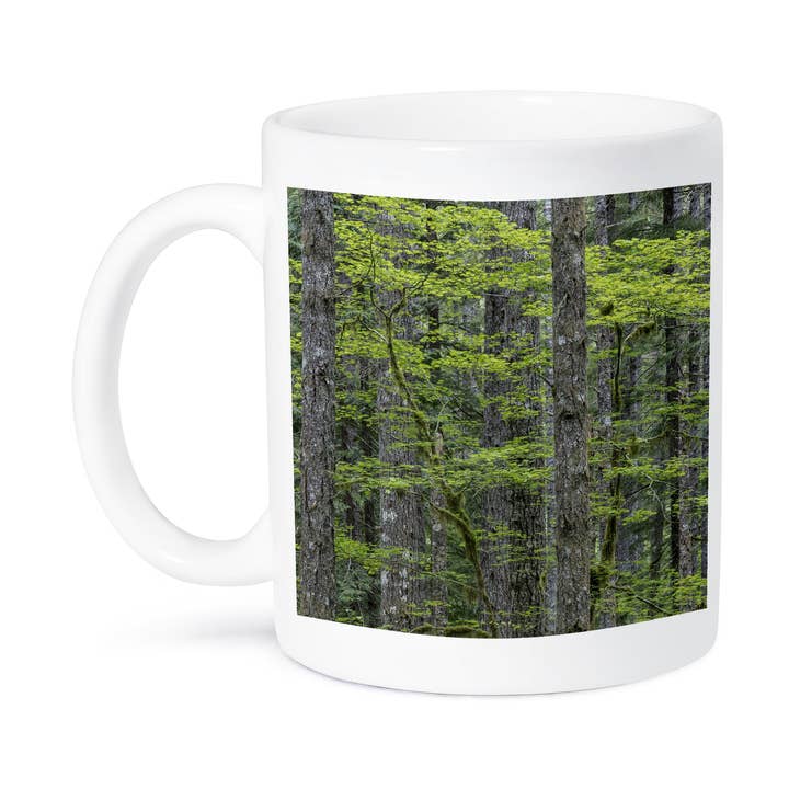 3dRose - Wholesale Coffee Mug - 3dRose, USA, WA, Gifford Pinchot National Forest. Forest scenic. , Mug8