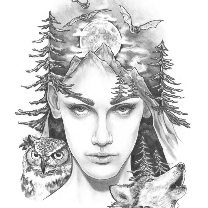 Megan Gray Art - Wholesale Art Print - Night Creatures Art Print