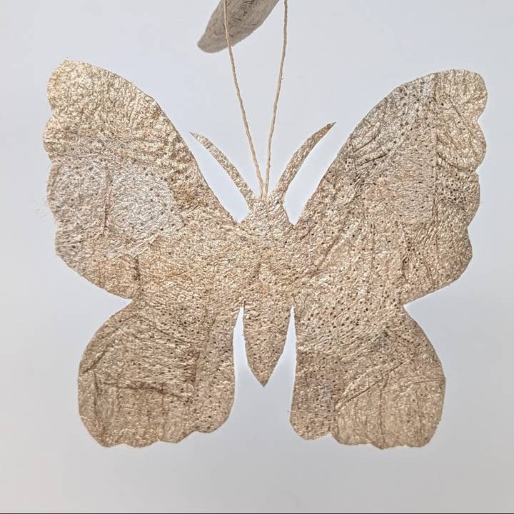 Madagascar Silk Moth Ornament - Ceranchia for wholesale by Tanana Madagascar