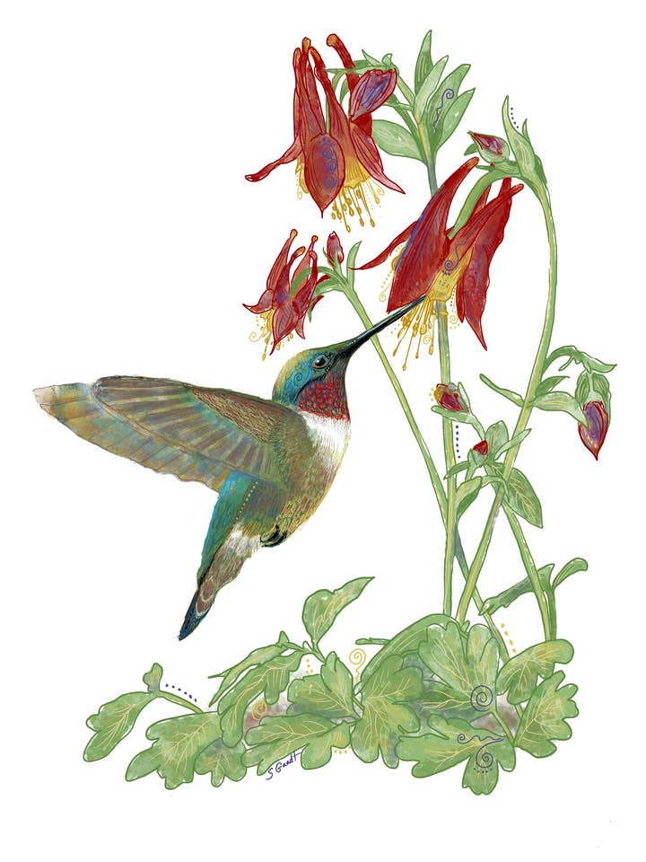 Hummingbird Tea Towel for wholesale by Give A Fig