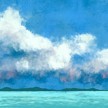 Water Clouds Fine Art Canvas for wholesale by William DePaula Fine Art