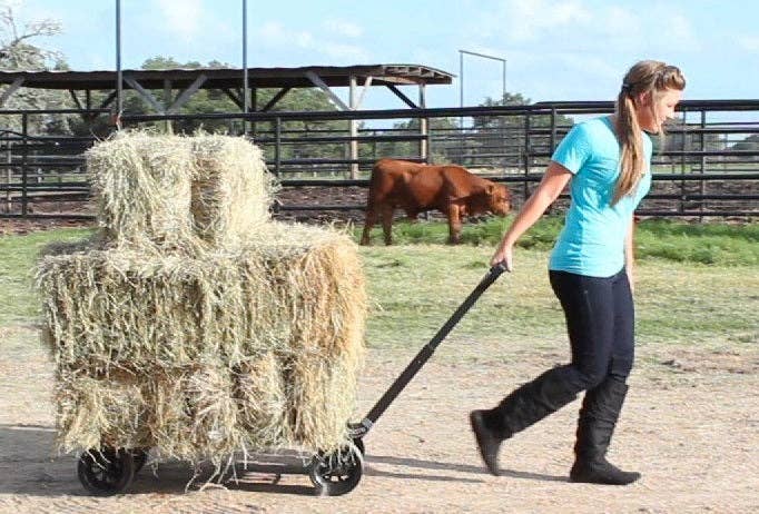 Mighty Max Cart - Wholesale Garden Caddy - Mighty Max Cart® Utility Hand Truck Dolly | Flatbed Only10