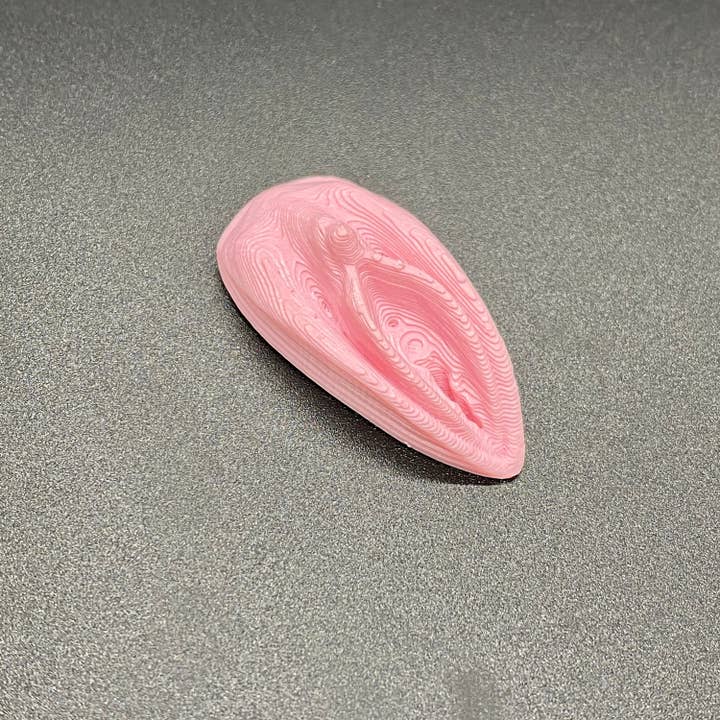 NumanPrints - Wholesale Gag Gift/Novelty Gift - Pussy Magnet! Stick On Magnetic Vulva! Prank/Gag Gift6