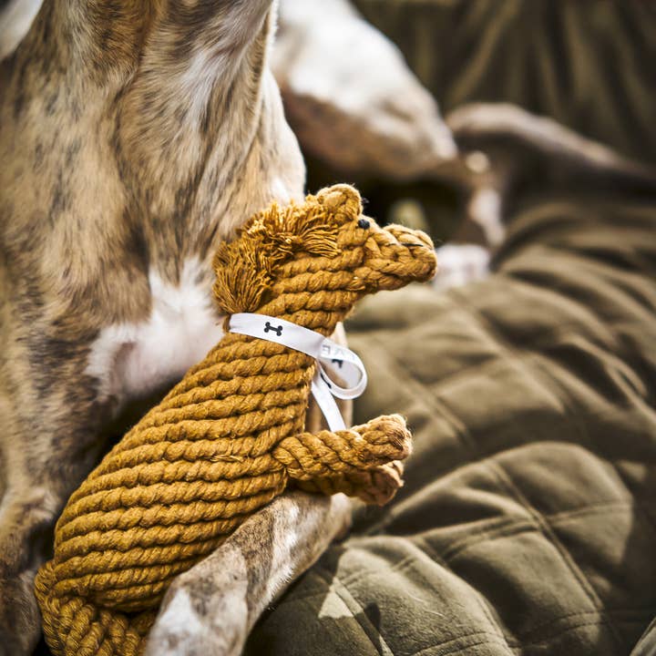 LABONI - Volentis GmbH - Wholesale Pet Rope Toy - Dog - Franz Pferdinand3