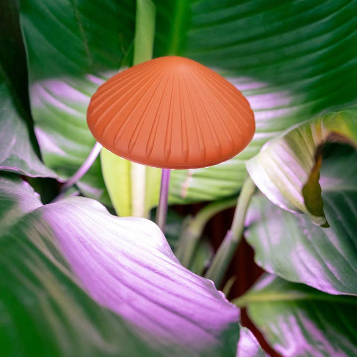 Kikkerland Design Inc - Wholesale Garden Tool - Mushroom Grow Light