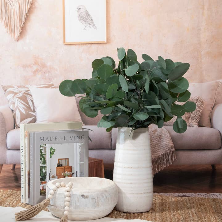 Andaluca - Wholesale Fresh Cut Flowers - Fresh Silver Dollar Eucalyptus 10 Stems Bunch4