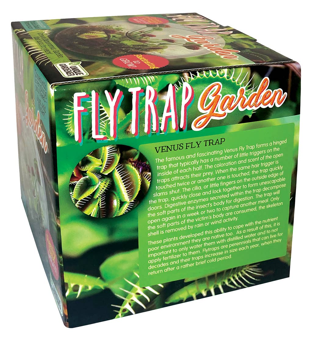 Silver Circle Products - Vente Terrariums - Kit de graines pour terrarium en verre Flytraps2