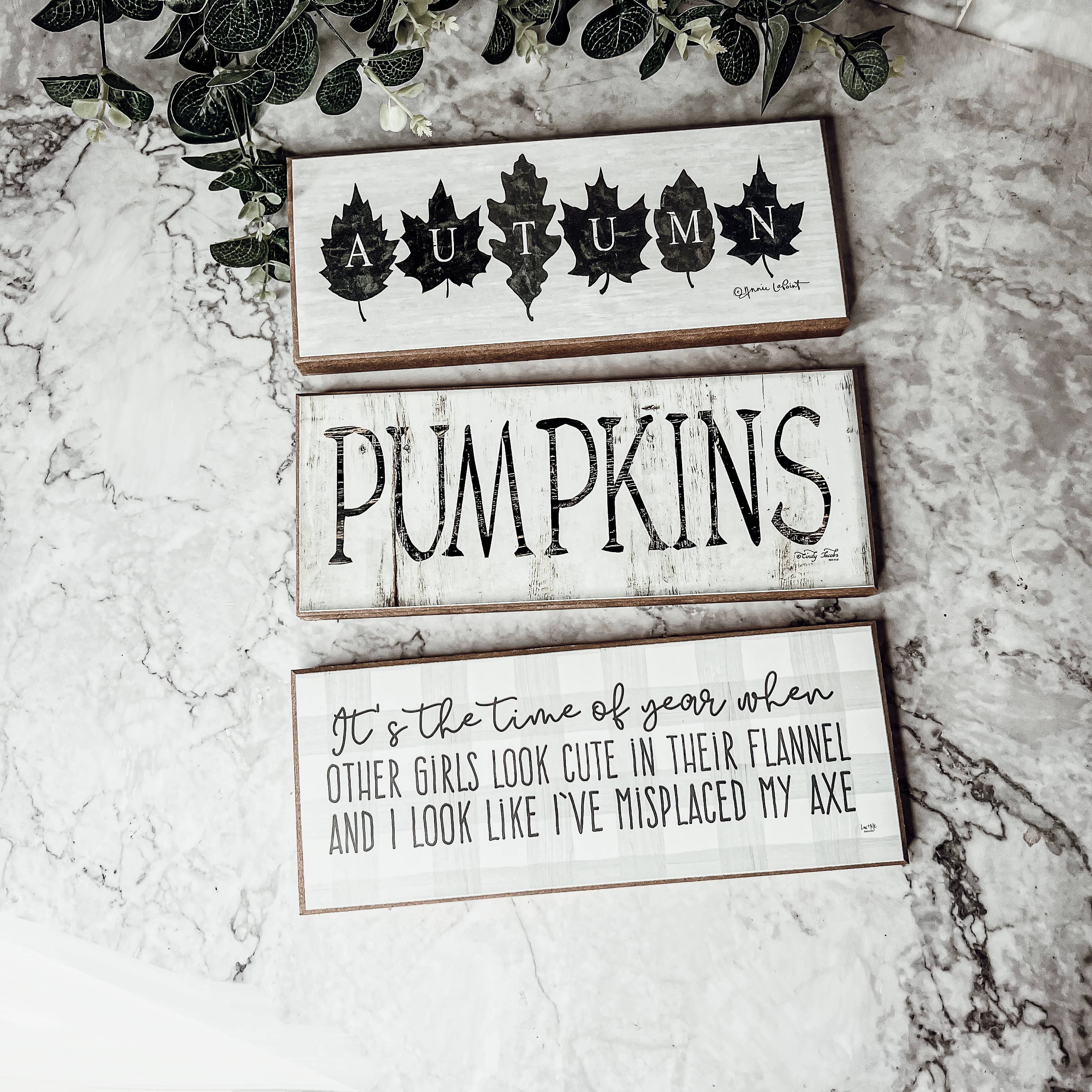 Gia Roma - Wholesale Sign - Hello Pumpkin Signs, PSL Lover Home Decorations + Gifts17