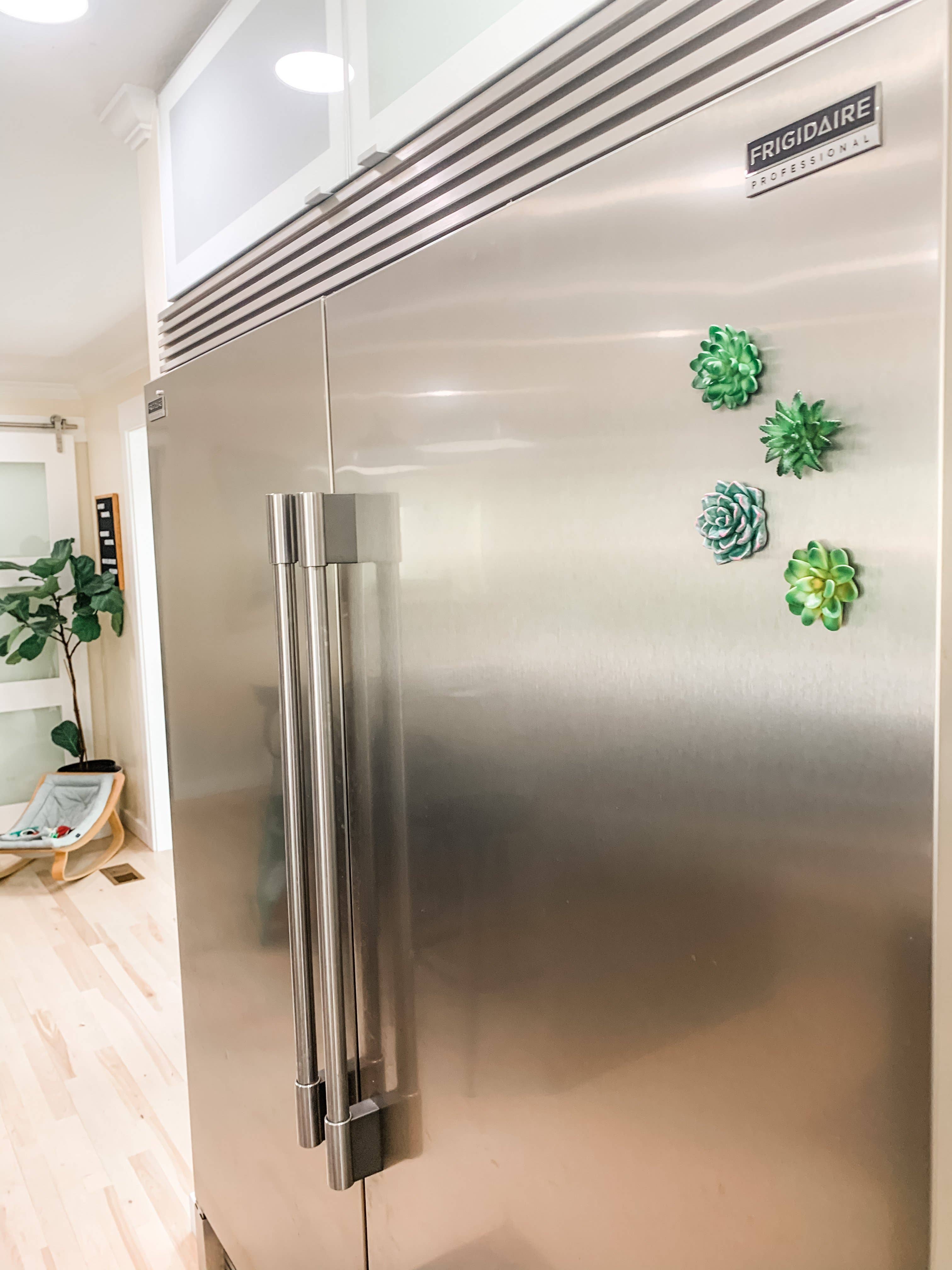 Woodbe Co - Wholesale Magnet - Mini 3D Succulent Resin Magnets9