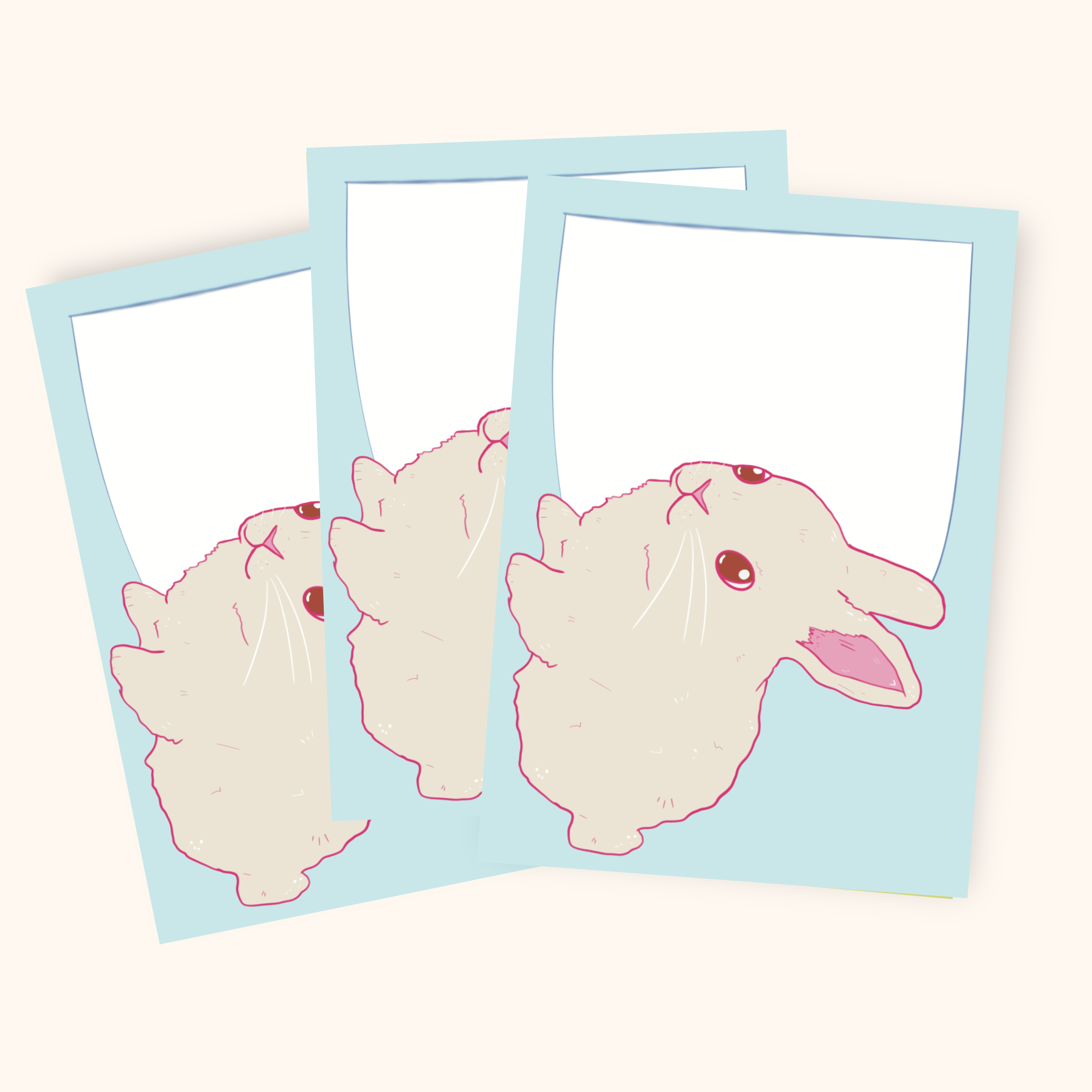 After Party Paper Co. - Wholesale Stationery/Notecard Set - Bunny Mini Notecard Set1
