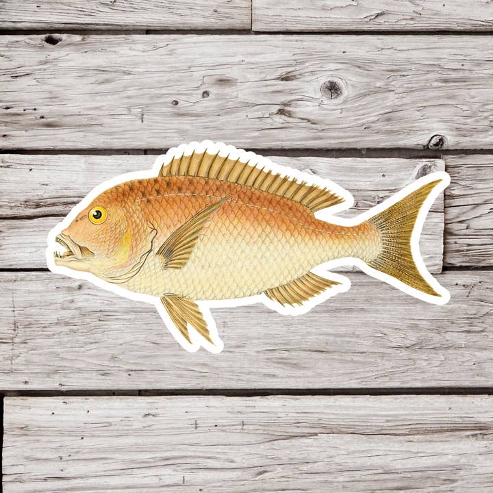 Red Snapper Sticker, Fish Sticker, Vintage Fish Sticker and other Purchase Wholesale snapper. Free Returns & Net 60 Terms on Faire trending on Faire.