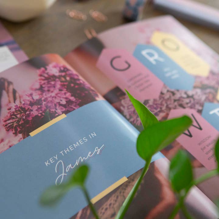 Chosen & Cherished - Wholesale Book - Adult - James Bible Study | Unwavering