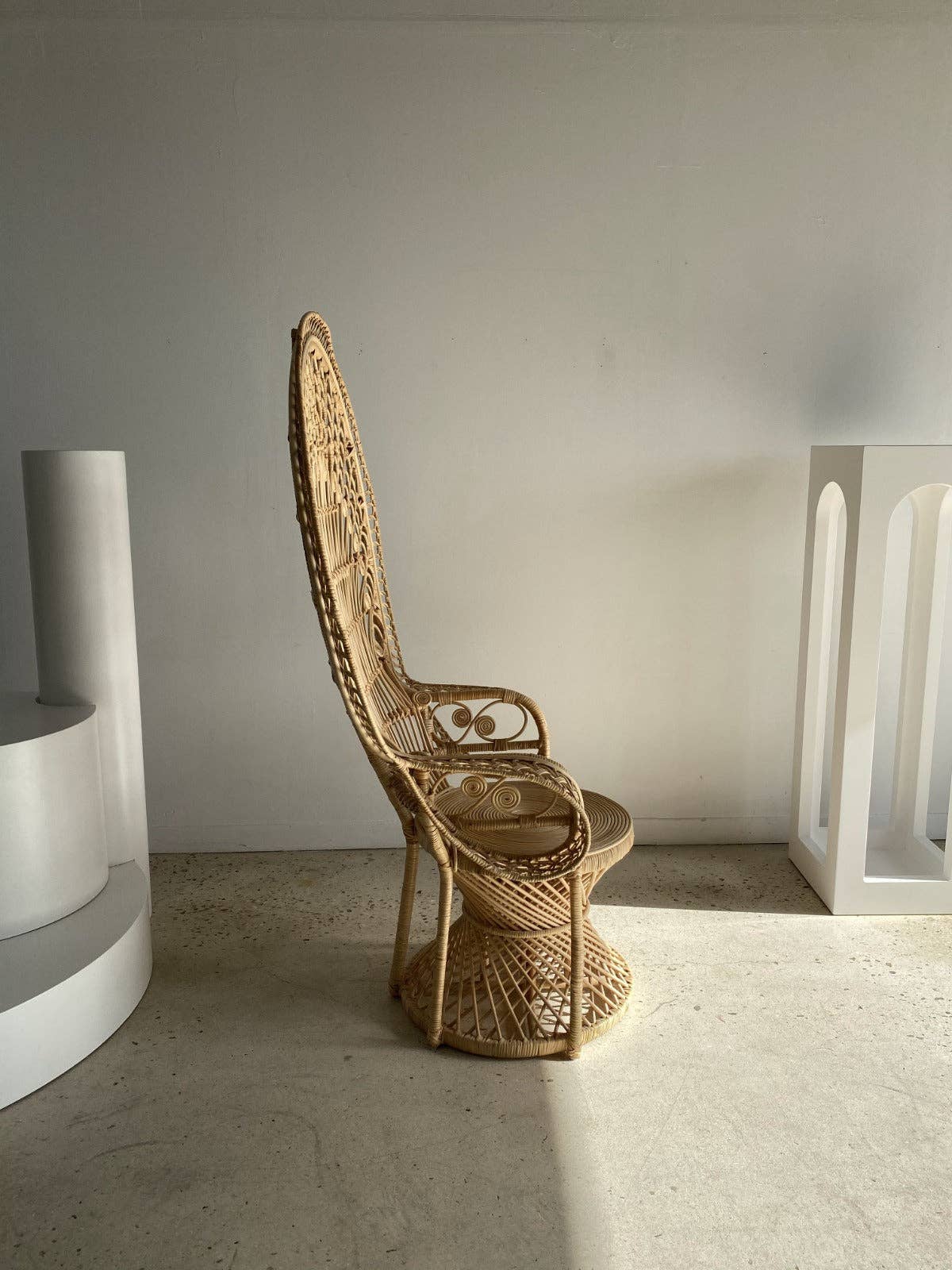 Office Objets - Wholesale Chair - Emmanuelle armchair in rattan with peacock patterns19