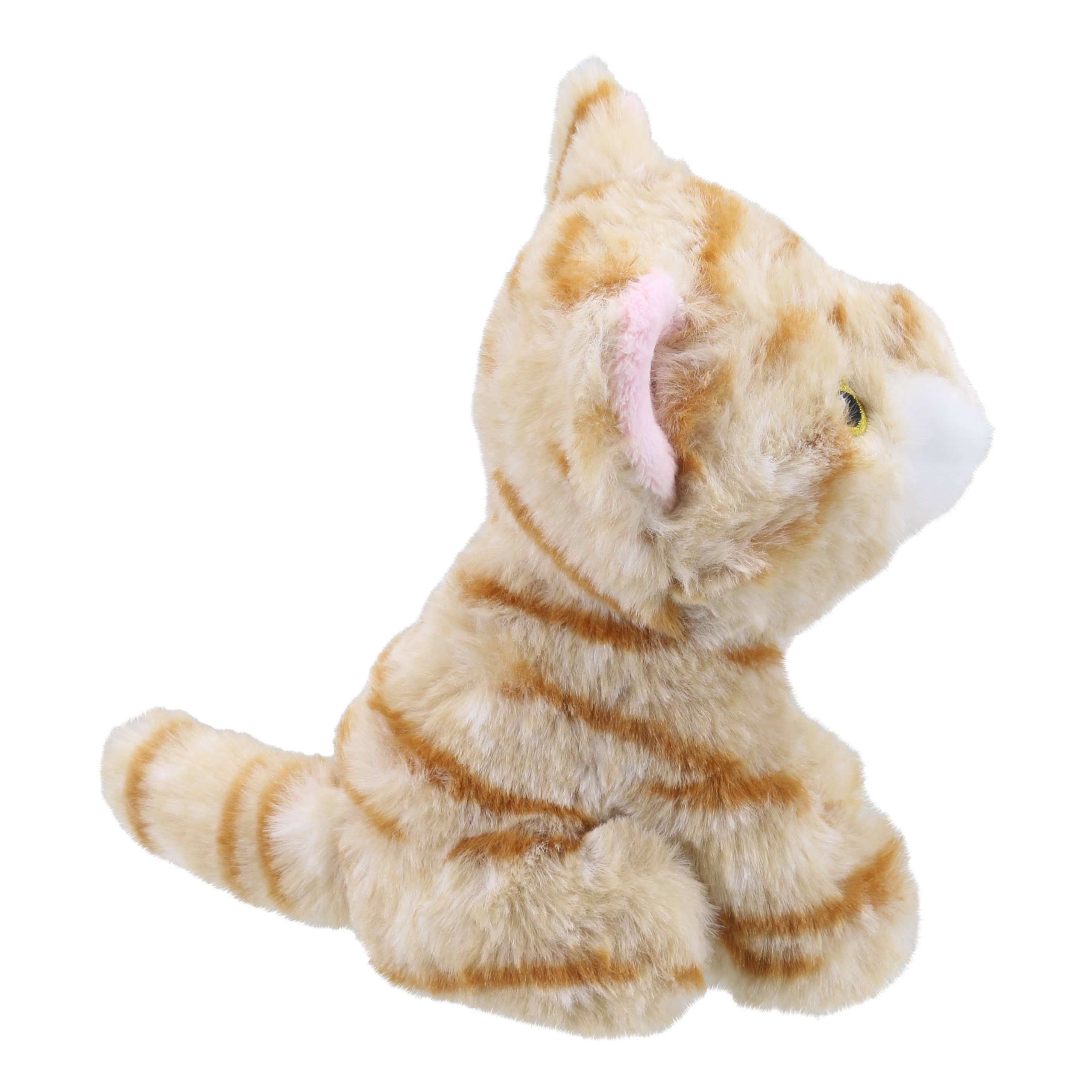 The Puppet Company (US) - Wholesale Stuffed/Plush Toy - Kids & Baby - Wilberry Eco Minis: Ginger Cat Soft Toy4