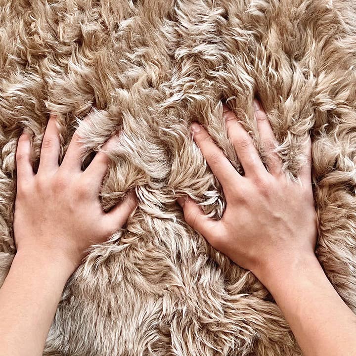 Rodeo - Wholesale Area Rug - Genuine Sheep Skin Rug 19