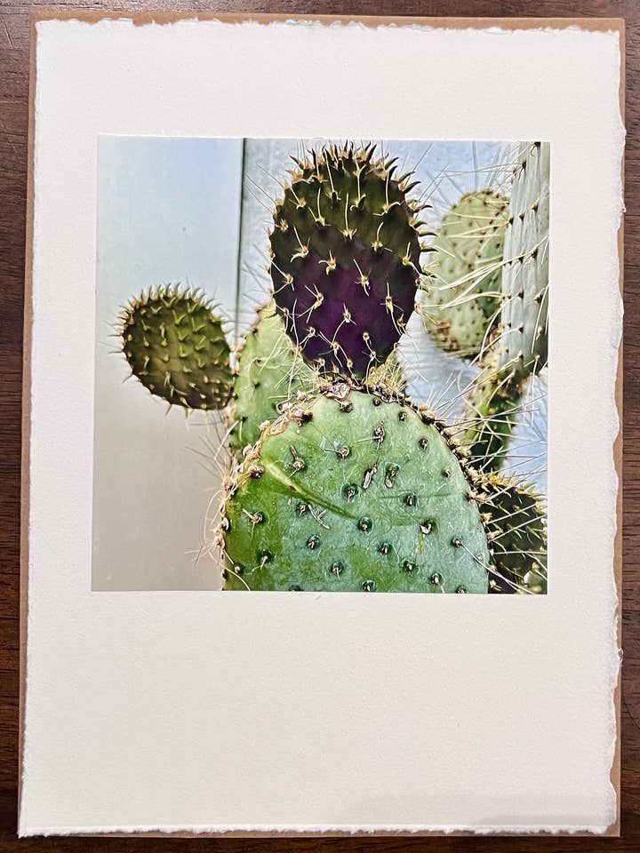 Texas Cacti 3 Photo Card & Kraft Envelope for wholesale by Kellie Lynne Designs