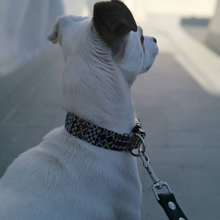 Mabelpiel - Wholesale Pet Collar - Dog - Ethnic dog collar, comfortable and adjustable2