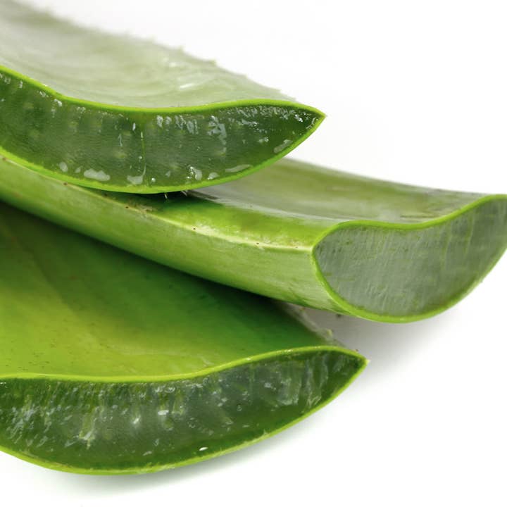 The Chandlery - Wholesale Bar Soap - Creamy Vanilla Soap8