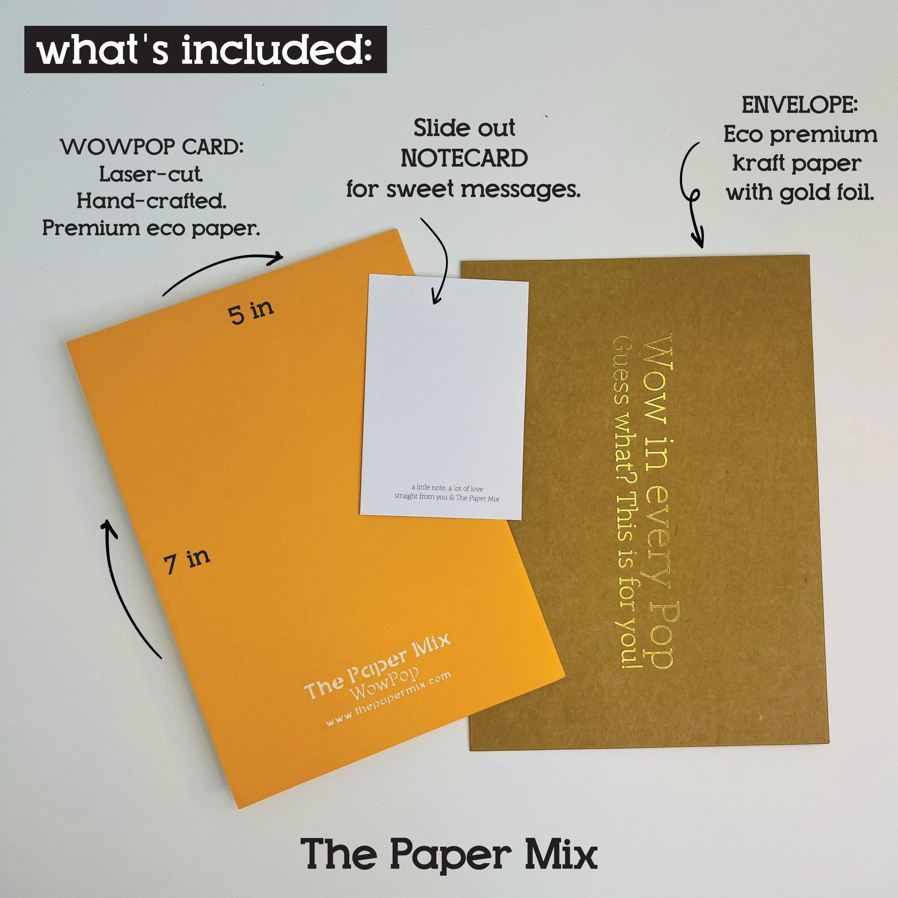The Paper Mix - Wholesale Birthday Card - Party On Blue Coach POP UP GREETING CARD, 3D Pop Up Card5