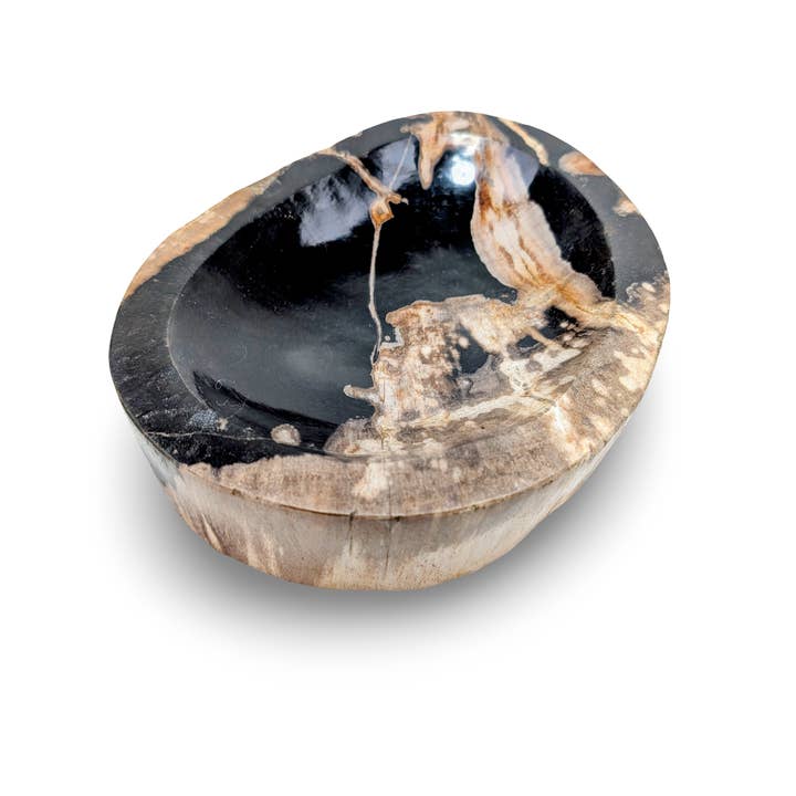 PETRIFIED SLICE DISH, Petrified Key Dish, Polished Petrified Dish for wholesale by baligood