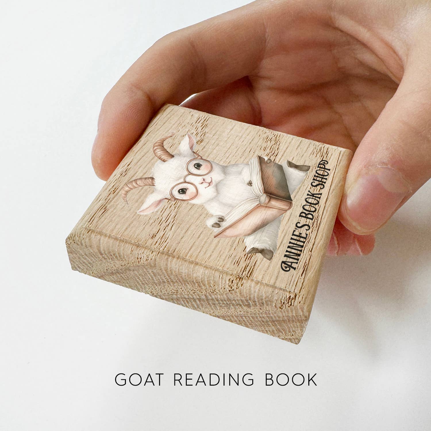 Hangout Home - Vendita all'ingrosso Calamite - Calamite da Frigo Personalizzate per Libreria Animali Carini che Leggono Libri6