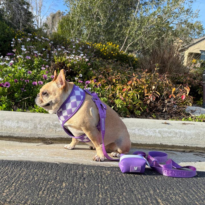 Frenchie - Wholesale Pet Poop Bag Dispenser - Frenchie Poo Bag Holder - LA Purple3