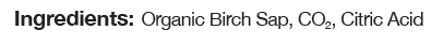 Sap! Beverages - Wholesale Sparkling Water - Sap! Pure Birch Sap Sparkling Water2