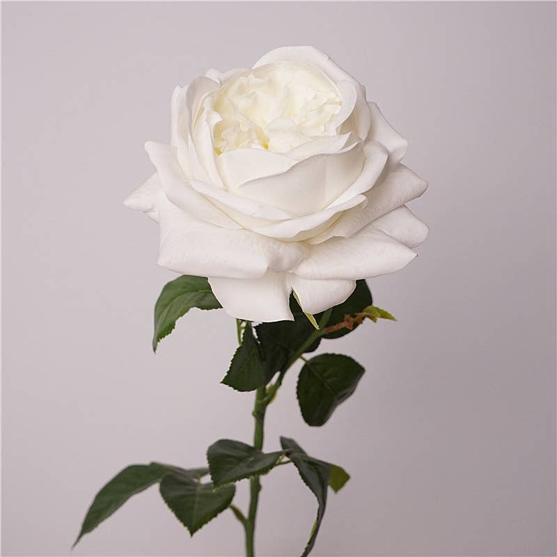 Angel Isabella - Wholesale Artificial flowers - 27"-Lux Faux Juliet Rose-Moisturizing Finish-5"Bloom10