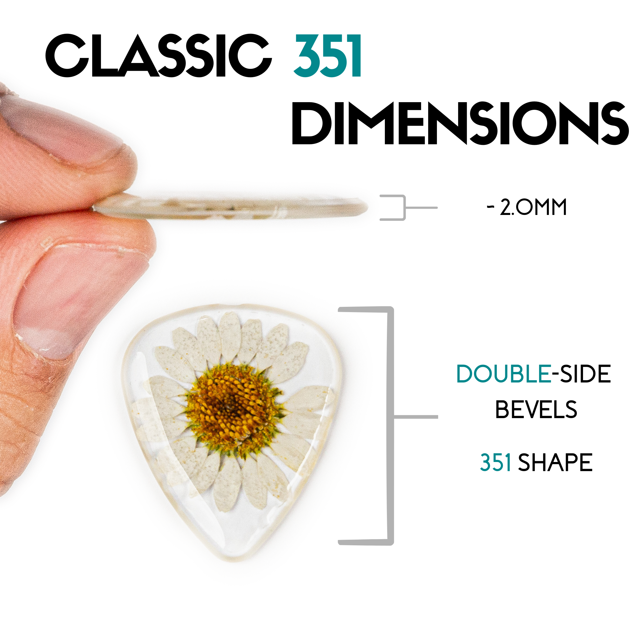 Terra Tone - Wholesale Music Accessory - Flower Guitar Picks - Daisy | Novelty Gift for Music Lover5