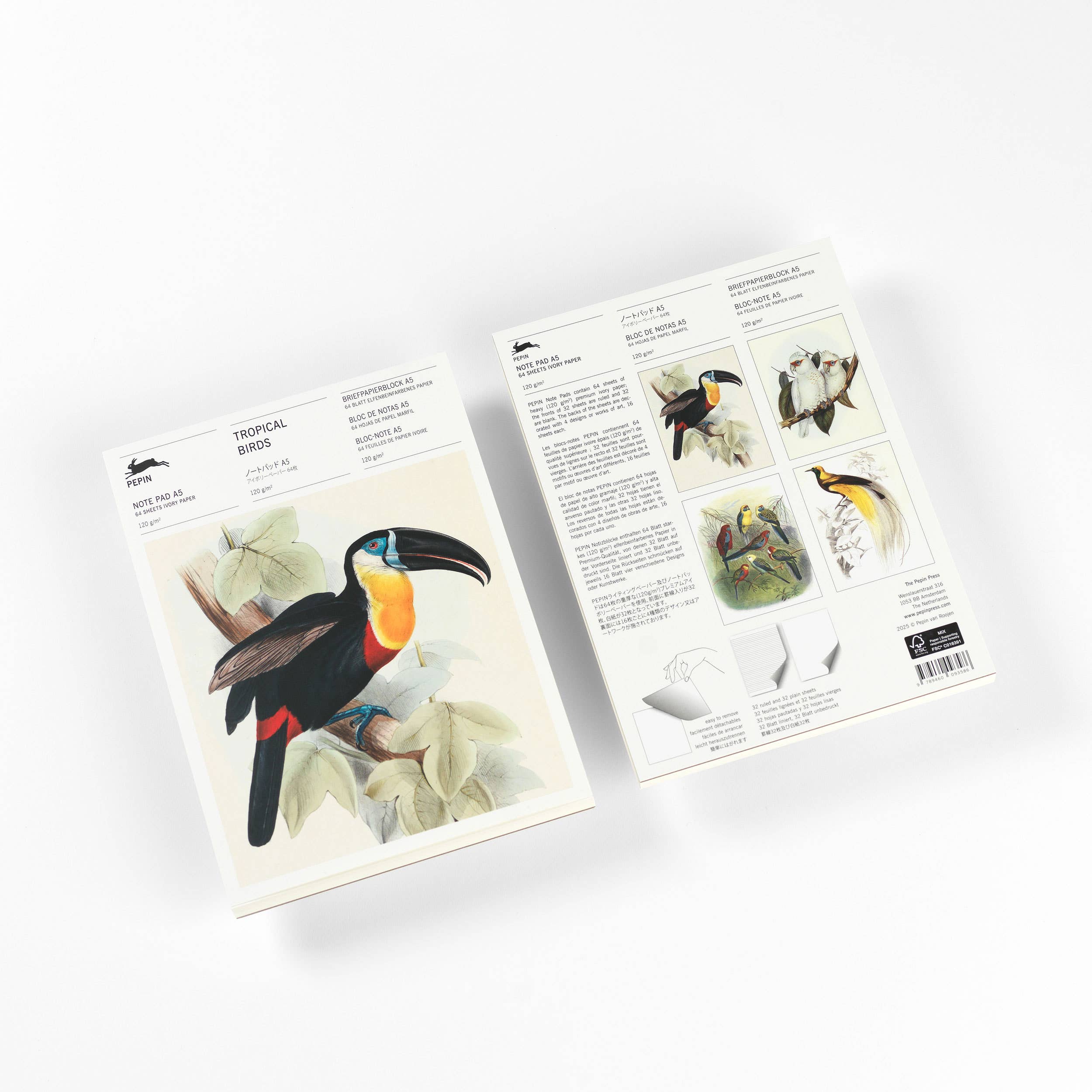 Pepin Press - Wholesale Notepad - Tropical Birds A5 Note Pad & Writing paper0