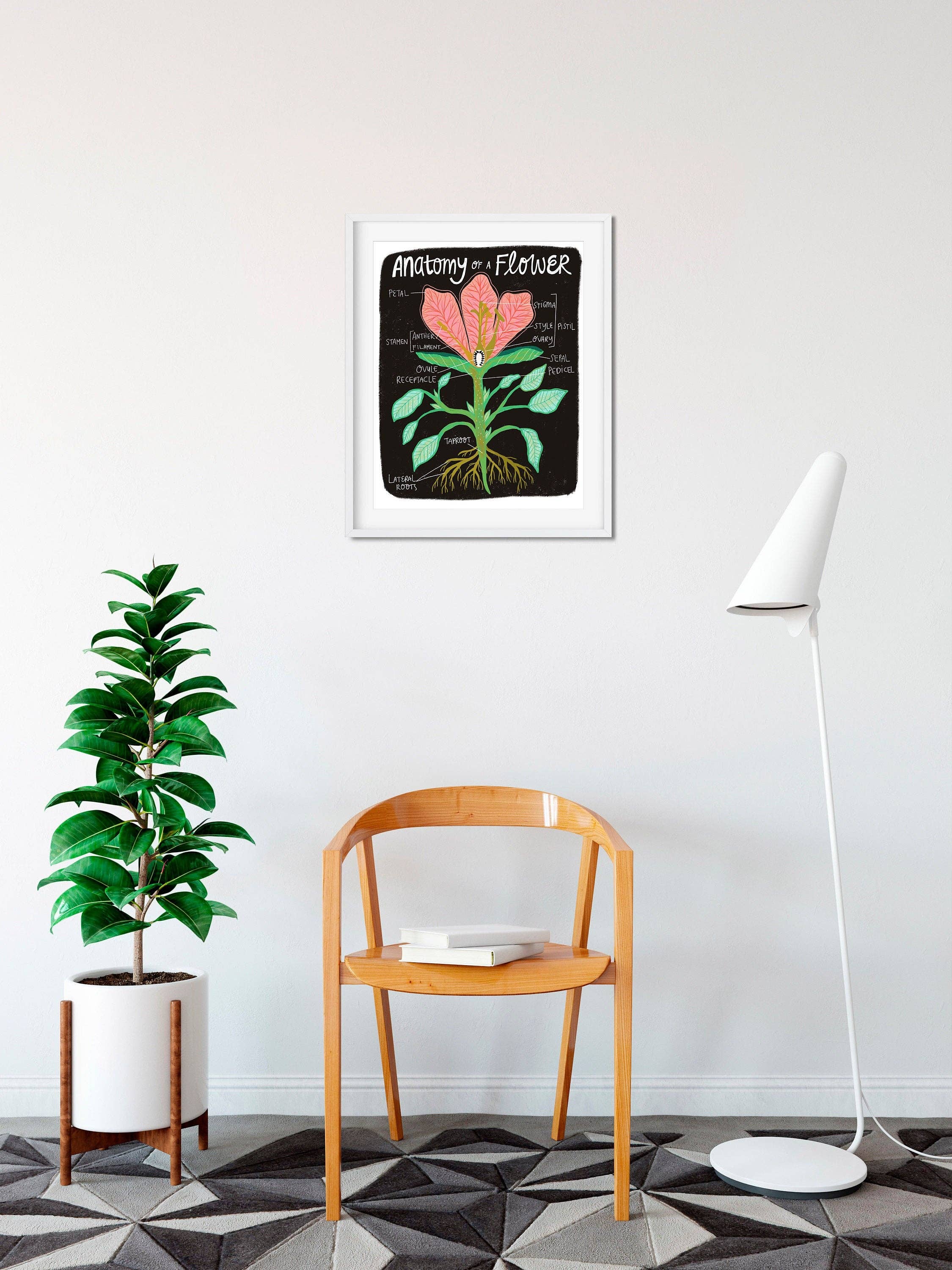 Dream Folk Studio - Wholesale Art Print - Flower Anatomy - Art Print2