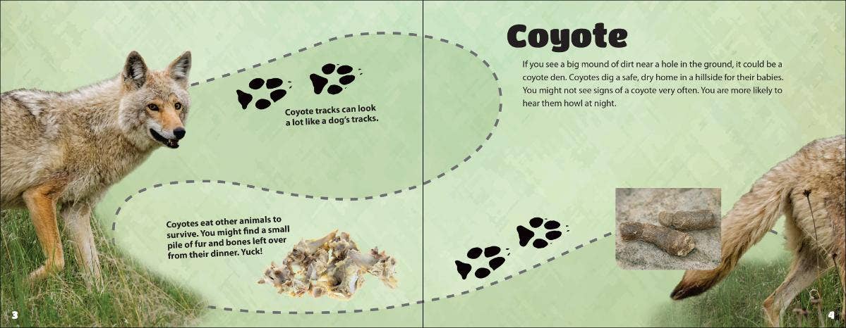 AdventureKEEN - Wholesale Nature & Outdoors - Critter Litter1