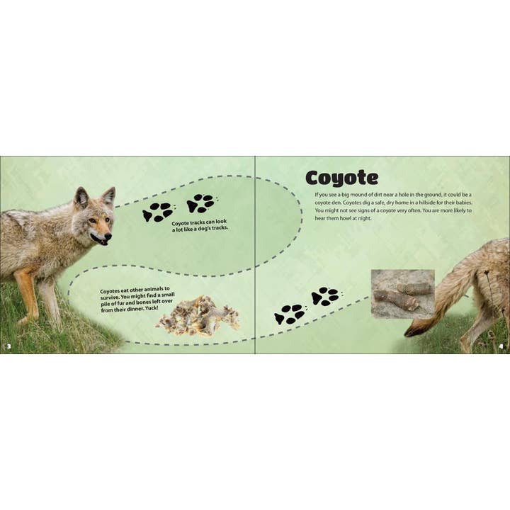 AdventureKEEN - Wholesale Nature & Outdoors - Critter Litter1