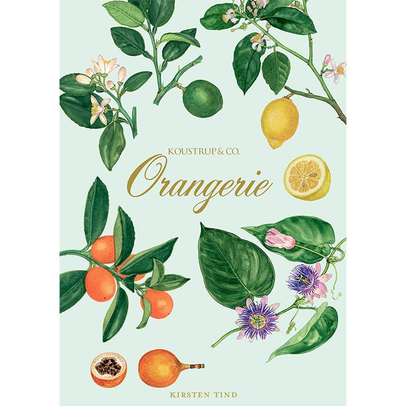 Koustrupco - Wholesale Stationery/Notecard Set - Cardfolder Orangerie - 8 cards w/envelopes (german)5