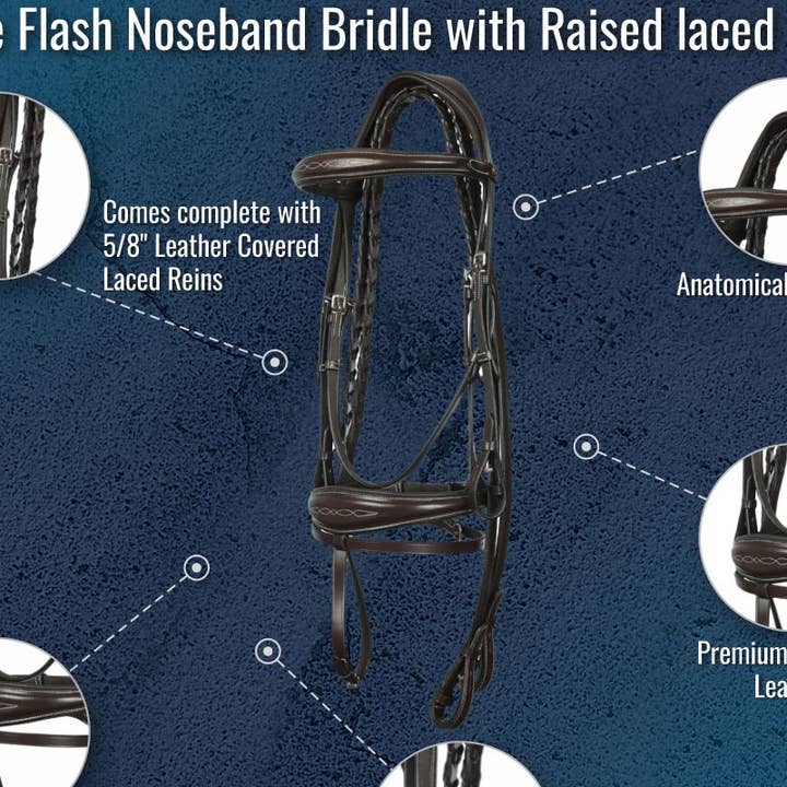 Henri de rivel Jamaika Pro Anatomical Fancy Raised Wide Flash Noseband Bridle with Raised laced reins for wholesale by JPC Equestrian