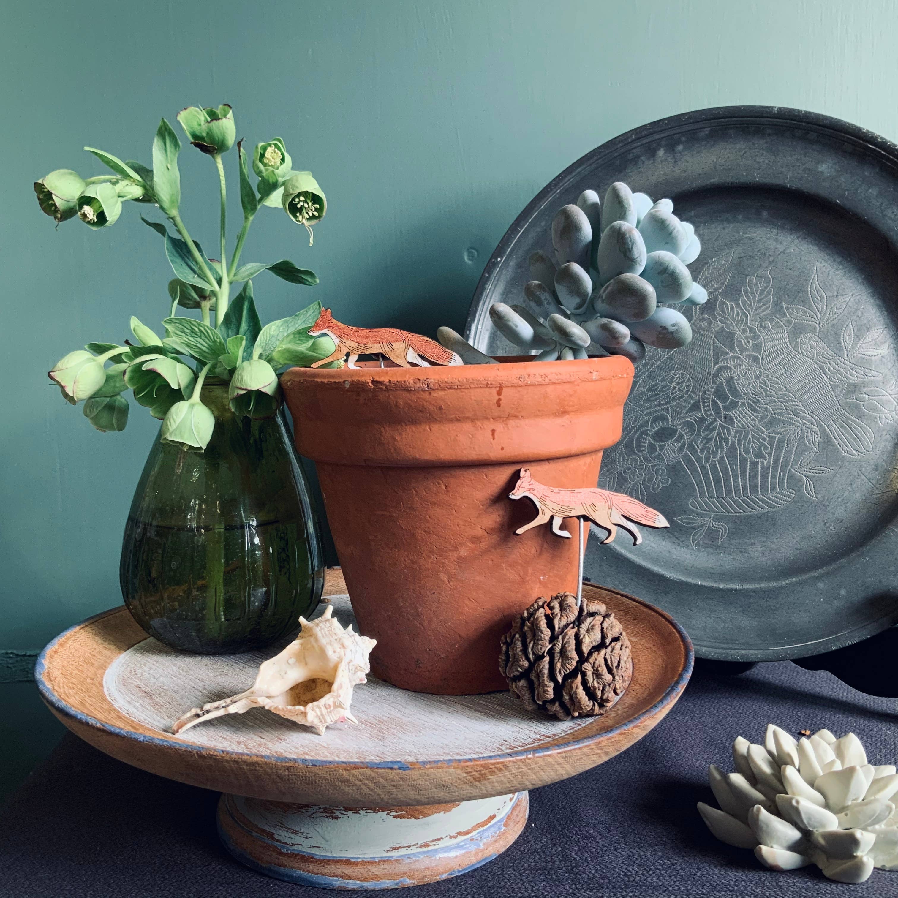 Lily Faith – wholesale Gräspiggar – Rävrävar till blomkrukor2