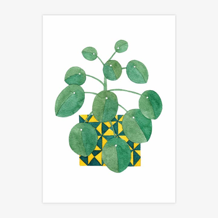 Katrina Sophia - Wholesale Art Print - Chinese Money Plant A5 Print
