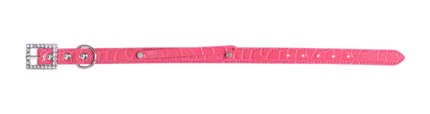 Parisian Pet® - Wholesale Pet Collar - Dog - Croc Collar – Perfect for Dog & Cat Personalization5