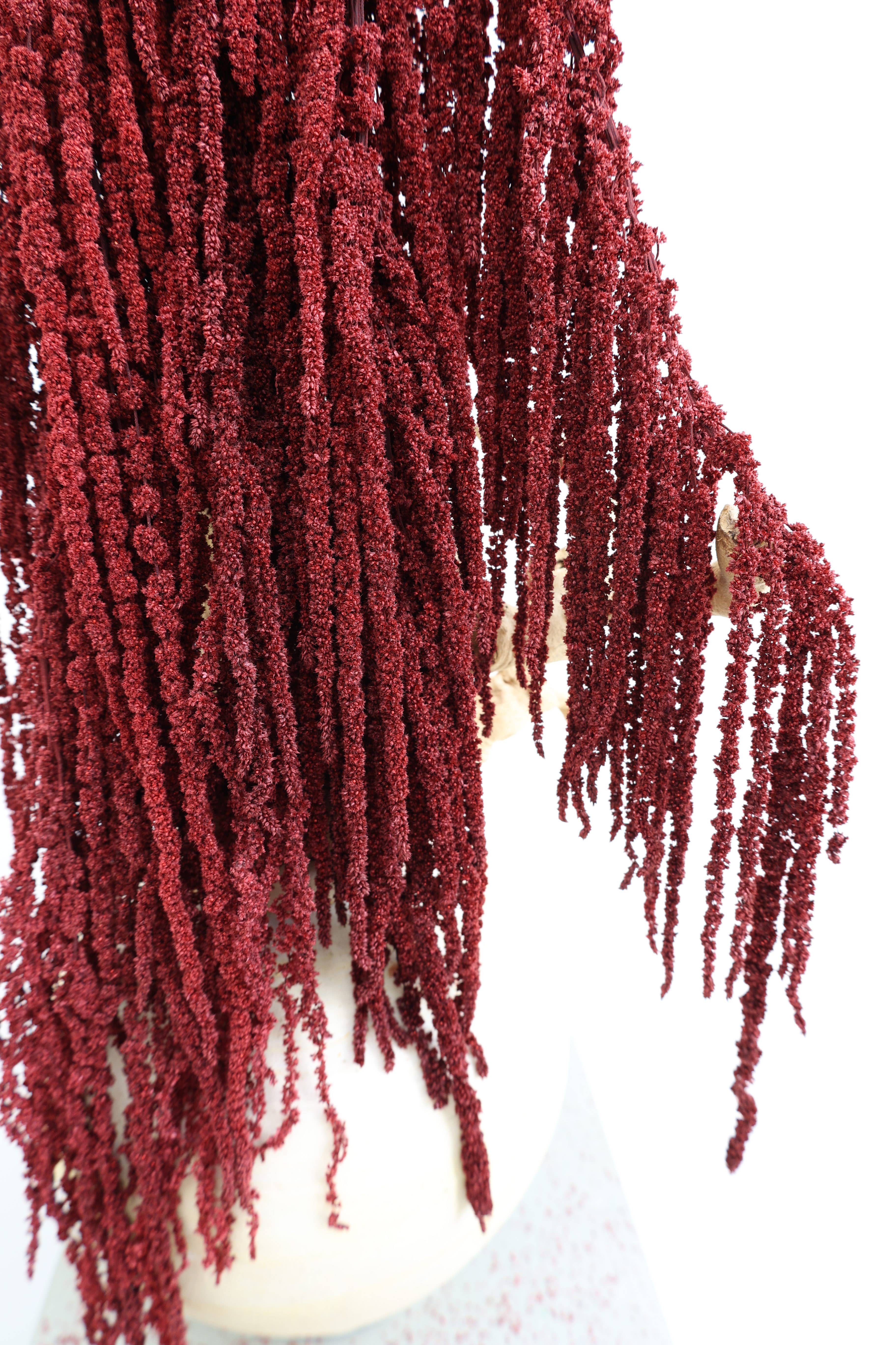 FlowerFantaSee - Vente Fleur séchée/pressée - Amarante préservée rouge profond4