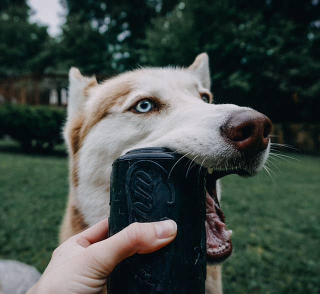 SodaPup Dog Toys - Wholesale Kauwspeeltje voor honden - Hond - SP Magnum Can Toy - Kauwspeelgoed en Traktatie Dispenser - Zwart9