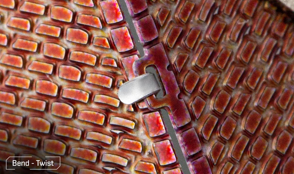 Metal Earth - Wholesale Decorative Tabletop Object - Harry Potter - The Burrow in Color6